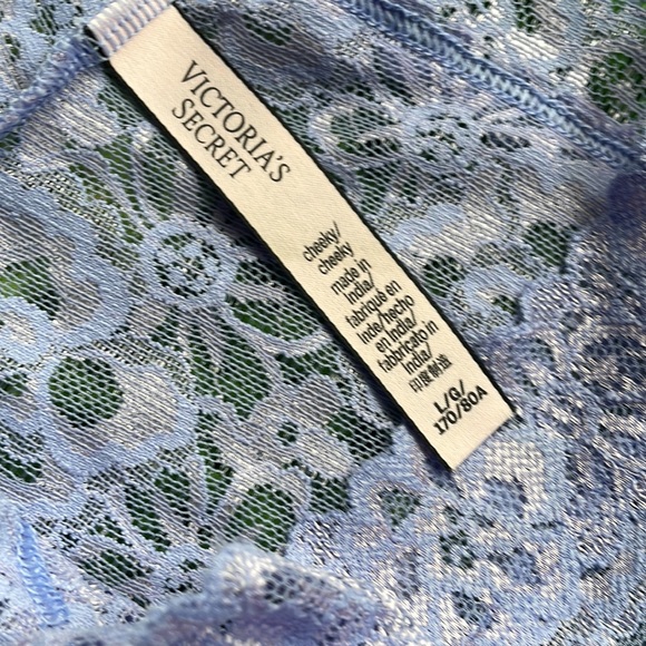 VICTORIA SECRET LG cheeky panties NWT & NWOT - Picture 12 of 13